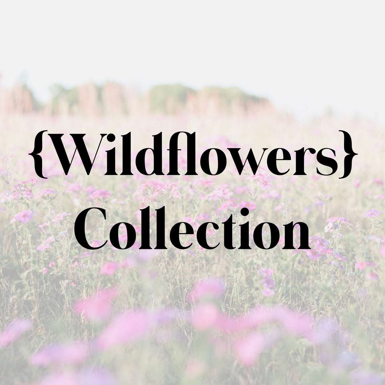 {Wildflowers} Collection